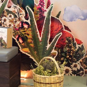 ATHONITES-STORE-DESIGN-BY-DKD-STUDIO 01