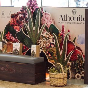 ATHONITES-STORE-DESIGN-BY-DKD-STUDIO-02